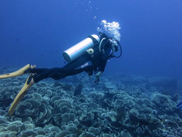 探索知识星球平台,加入广东未来的经济增长点在哪?你知道吗?学习成长